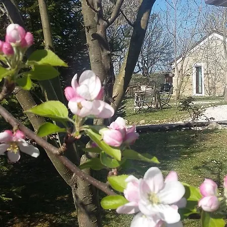 La Casa Delle Fate *